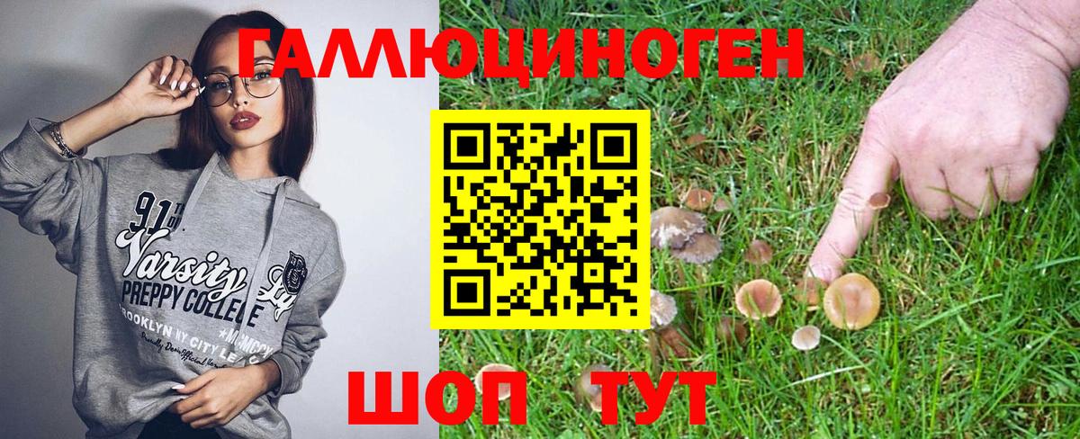 Галлюциногенные грибы Cubensis Городец