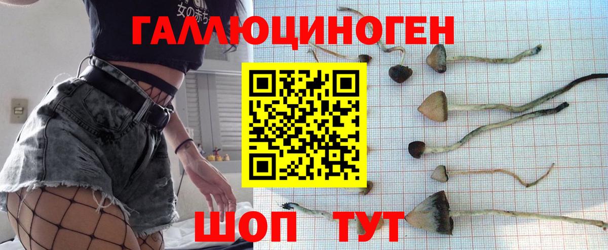где найти наркотики  Галлюциногенные грибы Psilocybine cubensis  Вход с VPN  Городец  Галлюциногенные грибы Magic Shrooms 